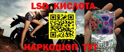 ешки Можга