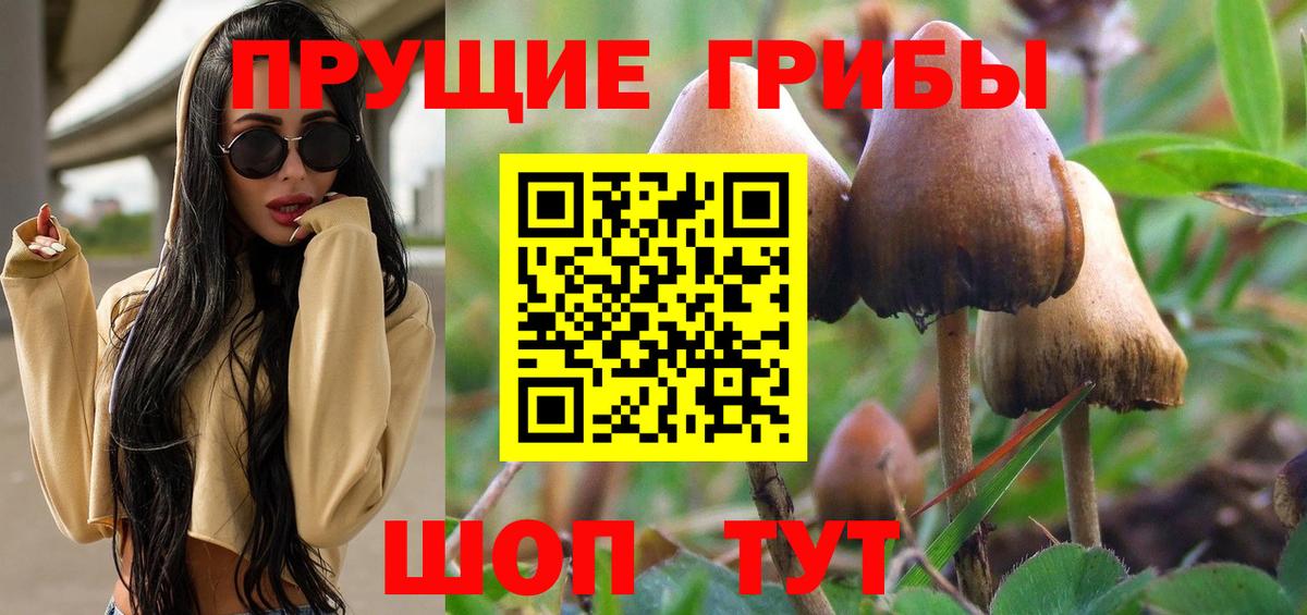 где купить наркоту  Псилоцибиновые грибы Cubensis  Улан-Удэ  Вход с VPN  Псилоцибиновые грибы мухоморы 